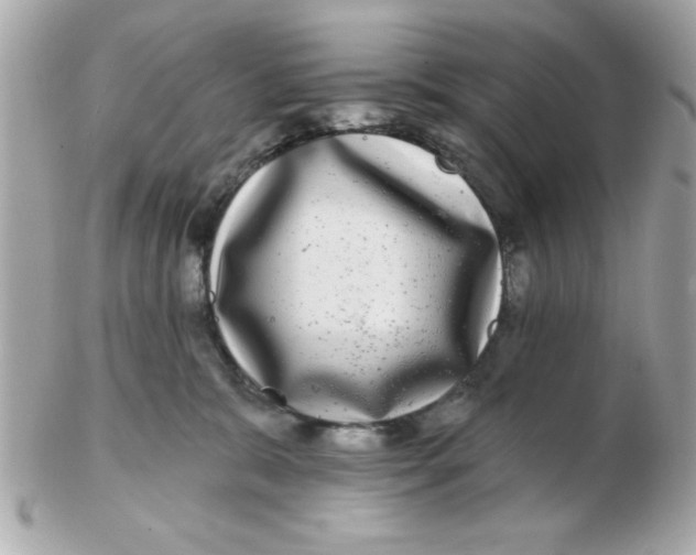 X0000102540327200808291847