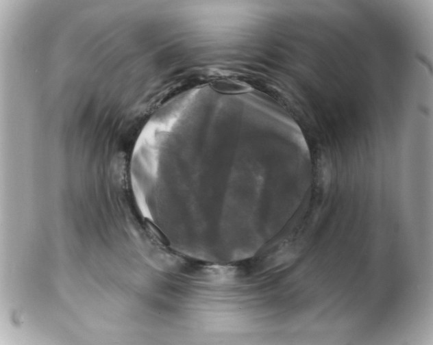 X0000102540328200808291847