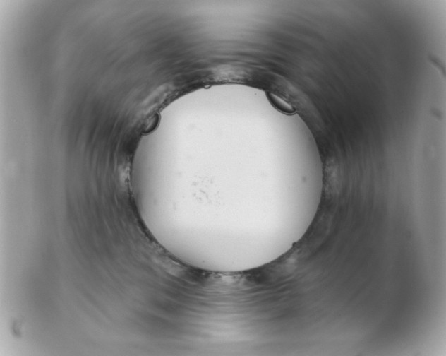 X0000102540329200808291847