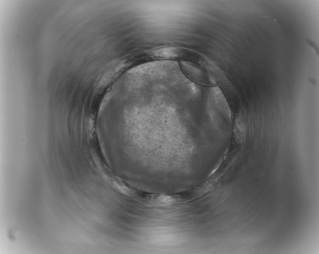 X0000102540330200808291847