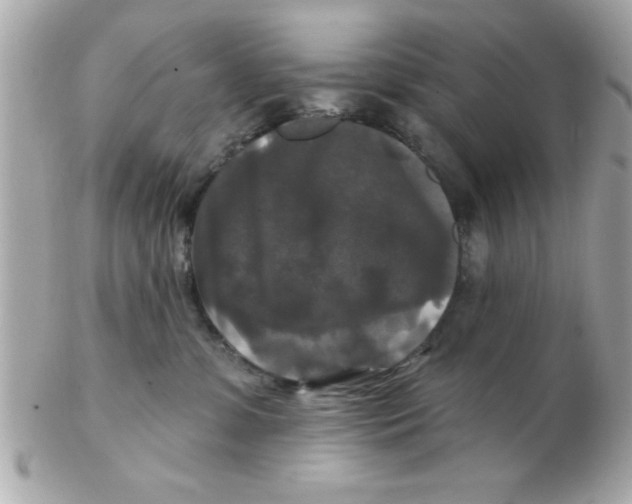 X0000102540331200808291847