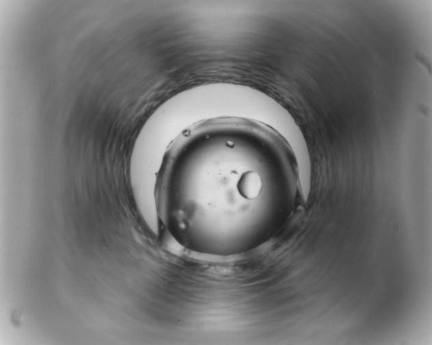 X0000102540332200808291847