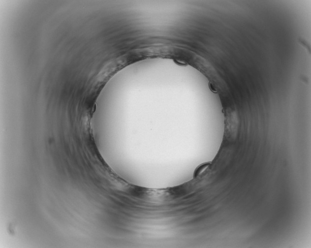 X0000102540333200808291847