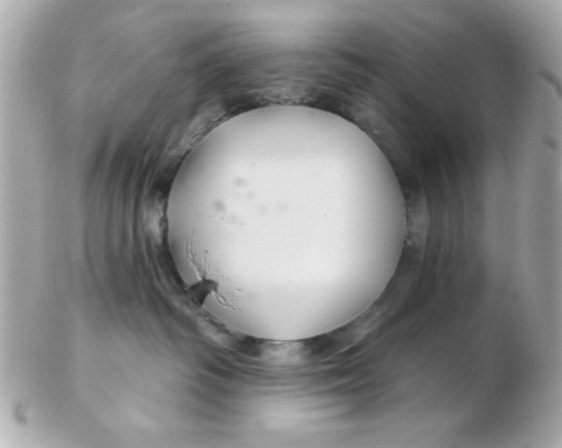 X0000102540334200808291847