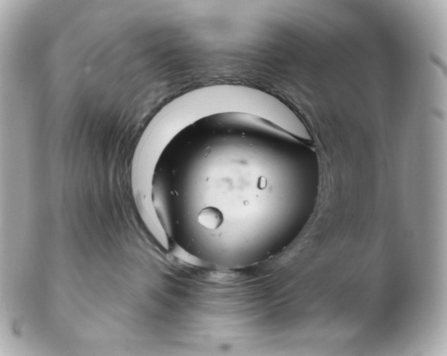 X0000102540336200808291847