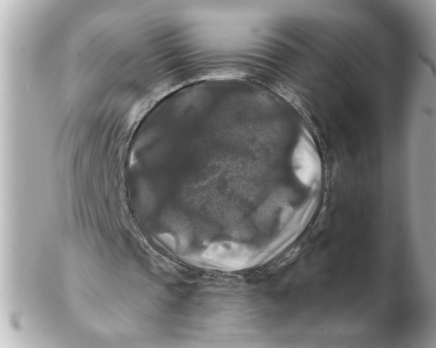 X0000102540337200808291847