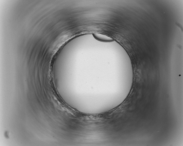 X0000102540338200808291847