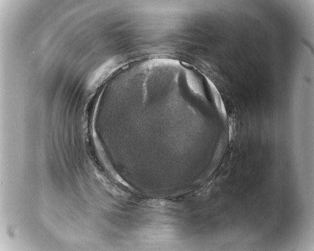 X0000102540339200808291847