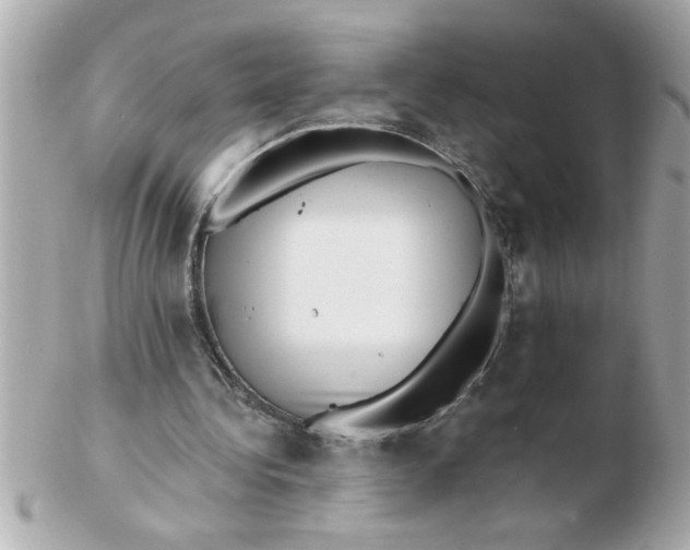 X0000102540340200808291847