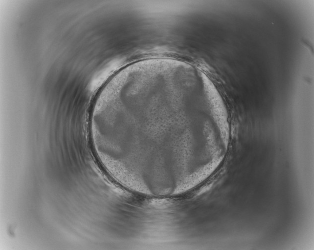 X0000102540341200808291847