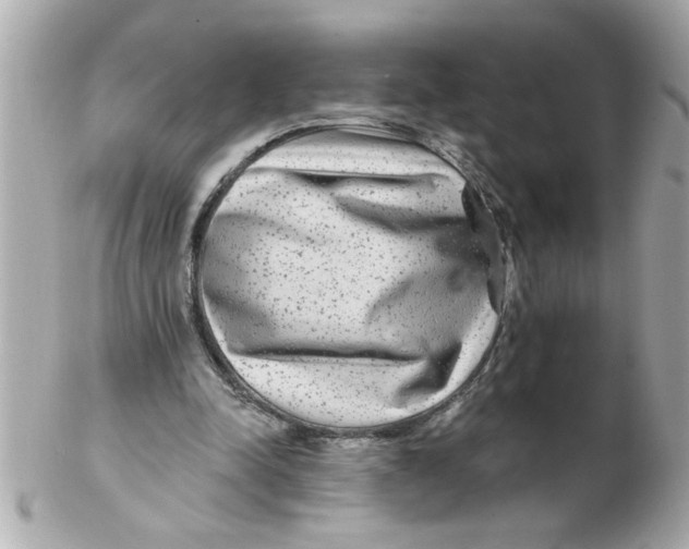 X0000102540342200808291847