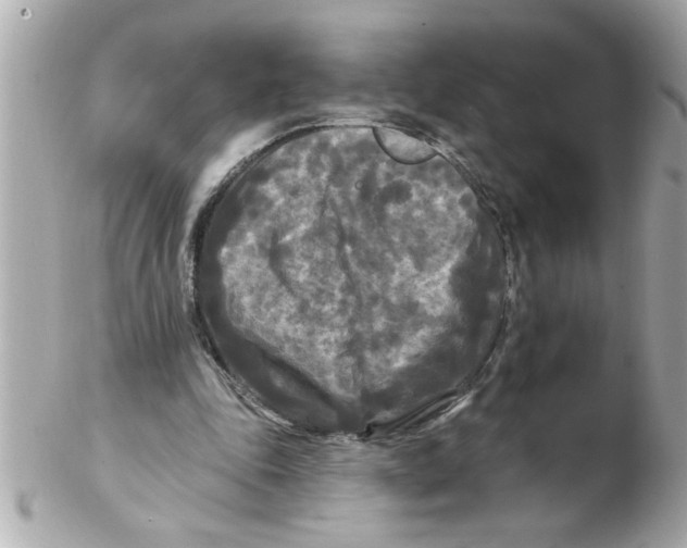 X0000102540343200808291847