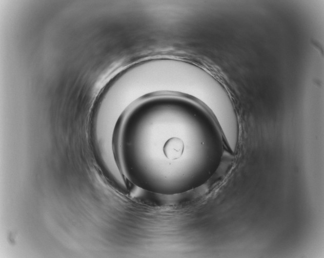 X0000102540344200808291847