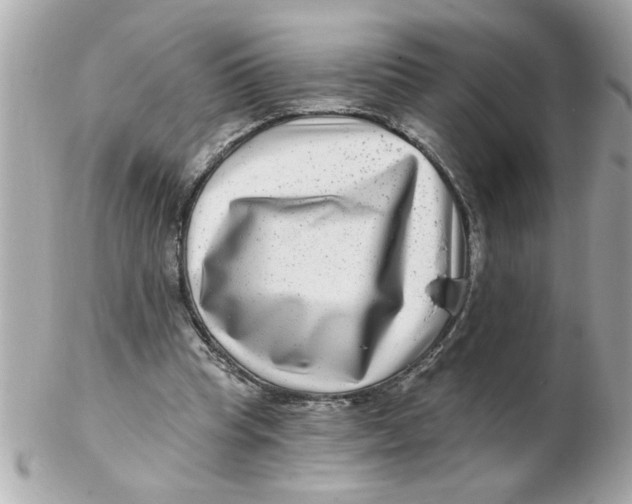 X0000102540345200808291847