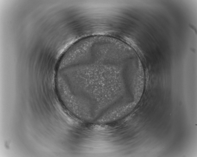 X0000102540346200808291847