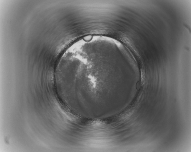 X0000102540348200808291847