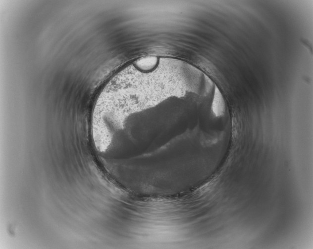 X0000102540349200808291847