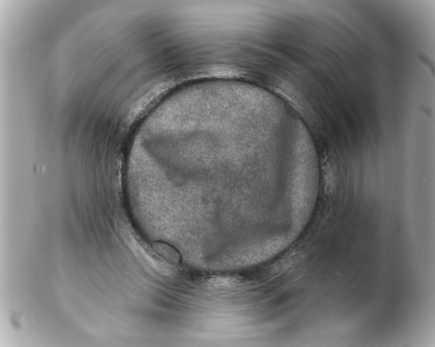 X0000102540350200808291847