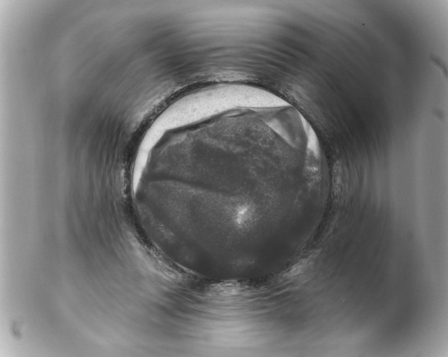 X0000102540351200808291847