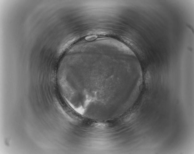 X0000102540352200808291847