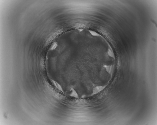 X0000102540353200808291847