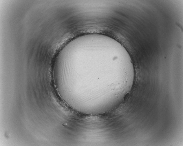 X0000102540354200808291847