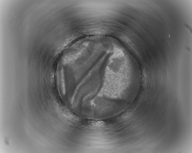 X0000102540355200808291847