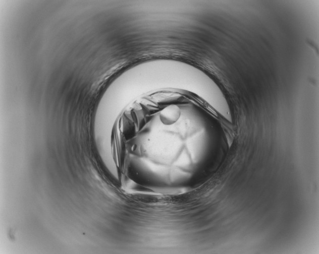 X0000102540356200808291847