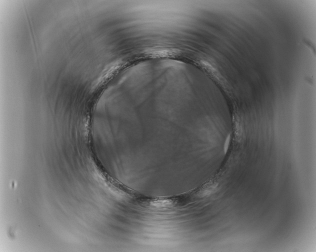 X0000102540357200808291847