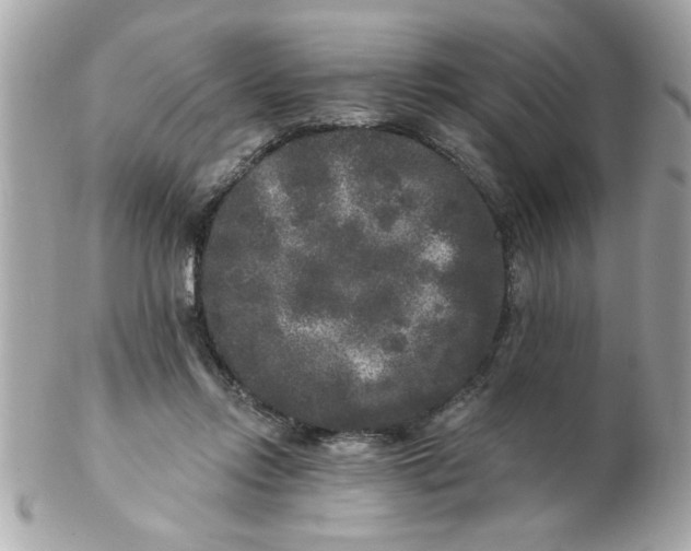 X0000102540358200808291847