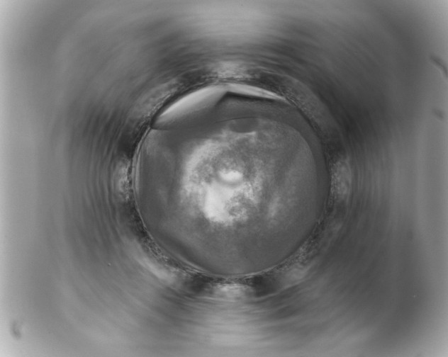 X0000102540360200808291847