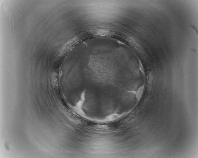 X0000102540361200808291847