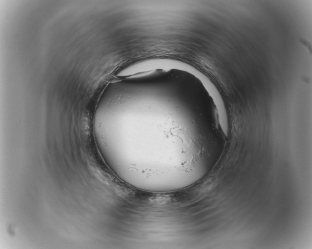 X0000102540362200808291847