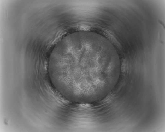 X0000102540363200808291847