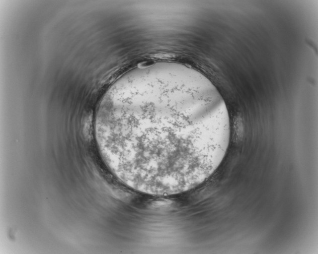 X0000102540364200808291847