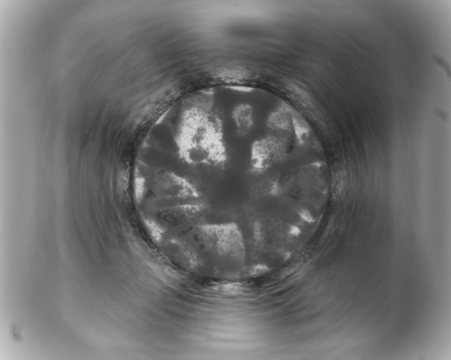 X0000102540365200808291847