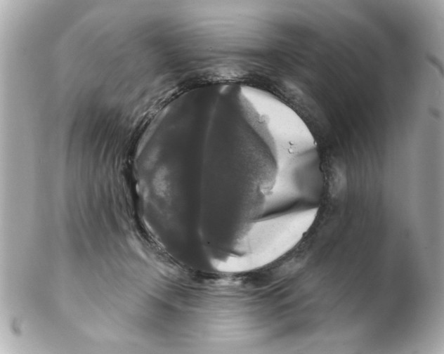 X0000102540366200808291847