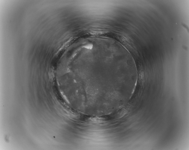 X0000102540367200808291847