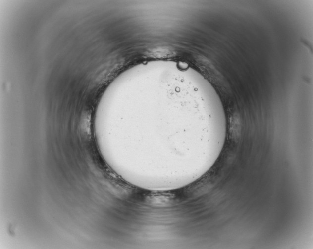 X0000102540368200808291847