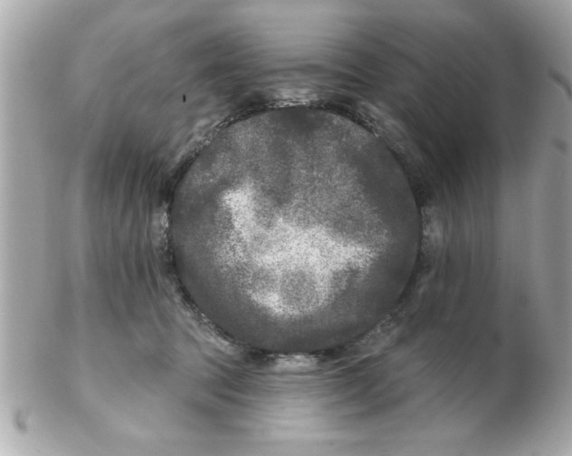 X0000102540369200808291847