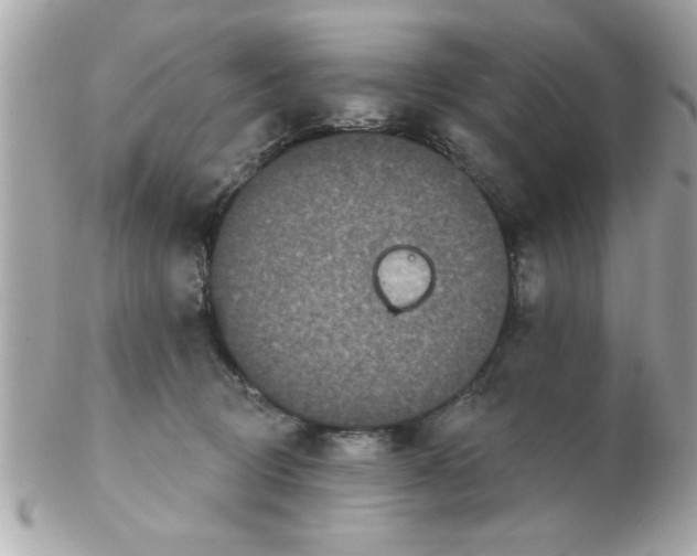 X0000102540370200808291847