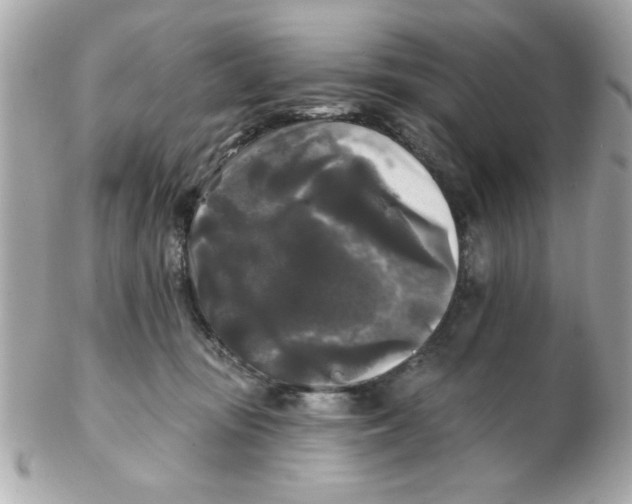 X0000102540371200808291847