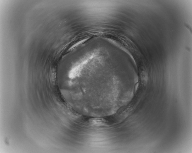 X0000102540372200808291847