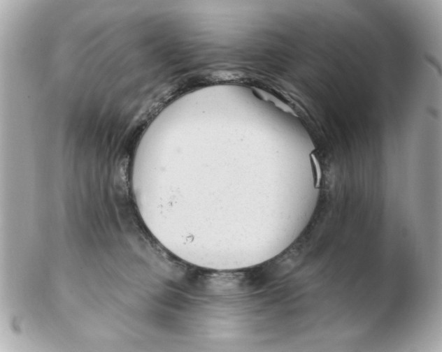 X0000102540373200808291847