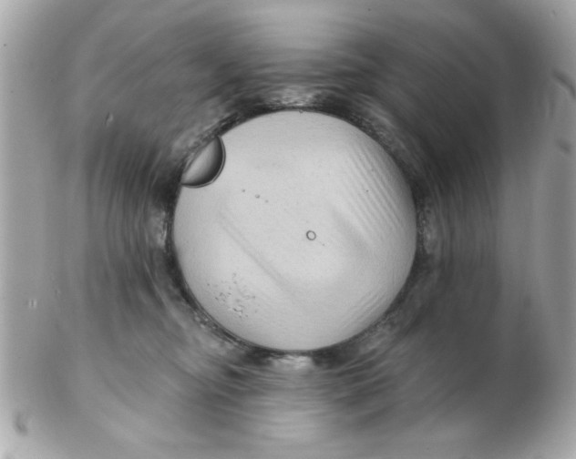 X0000102540374200808291847