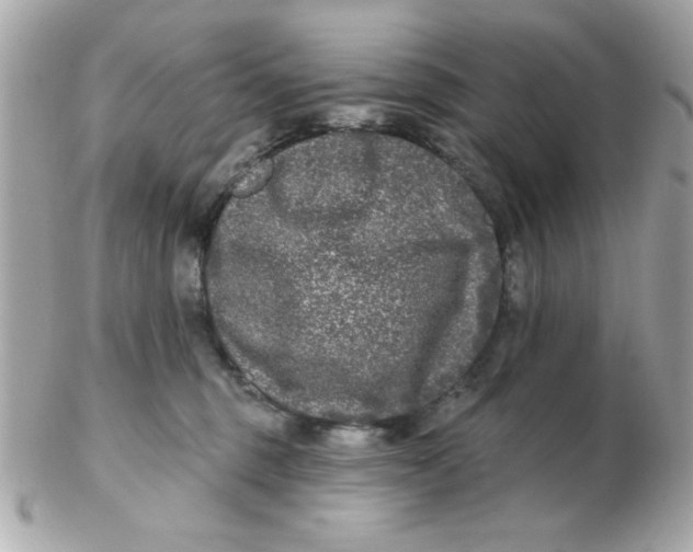 X0000102540375200808291847