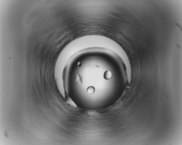 X0000102540376200808291847