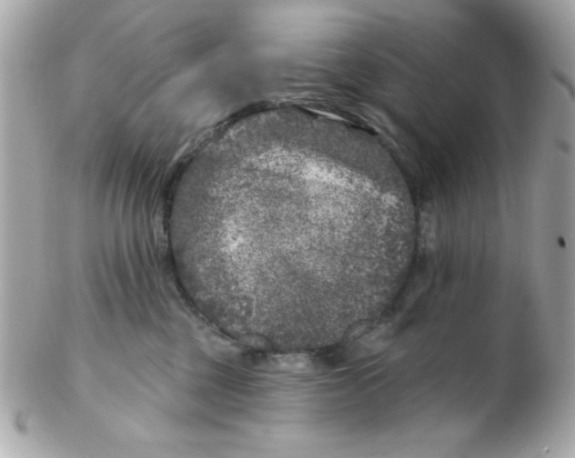 X0000102540377200808291847