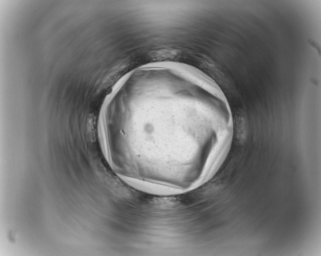 X0000102540378200808291847