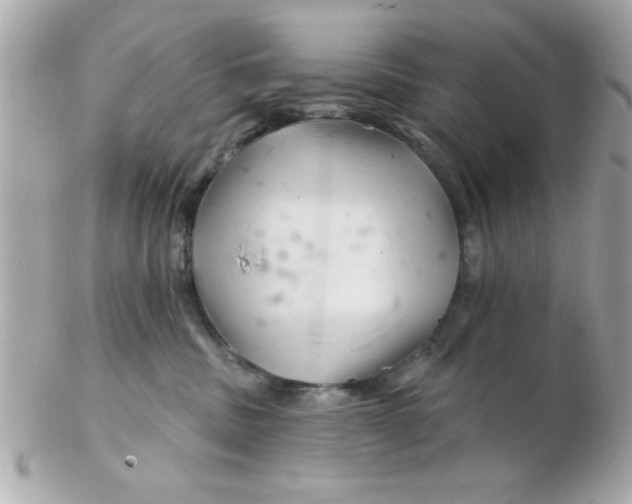 X0000102540379200808291847